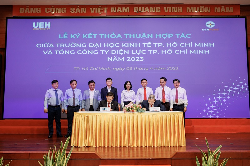 cá cược thể thao hul city